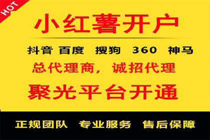 谷歌竞价案例：成功案例分析及启示